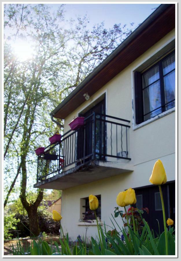 Chez Flo Et Marc Appartement Chouzy-sur-Cisse Buitenkant foto